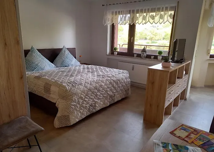 Moselblick Διαμέρισμα